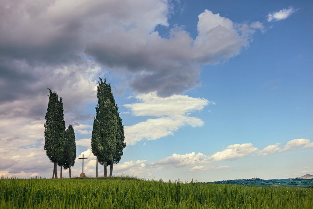 cipressa-val-d'orcia-tuscany-photography-tours